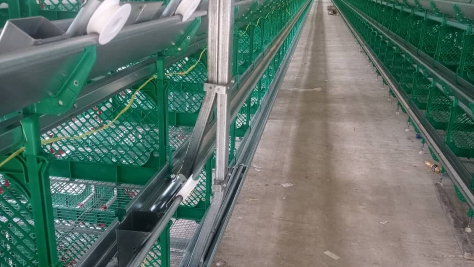 Automated cage system